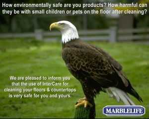 Media Post - 0-28-2014 large