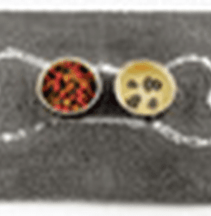 slopmat-gry-sm-doggy